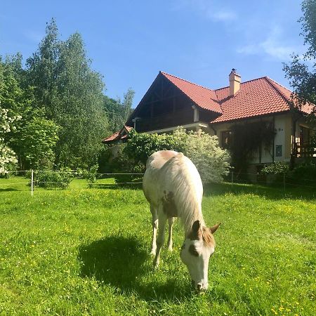 Modryna Ranczo Bed and Breakfast Krasiczyn Eksteriør billede