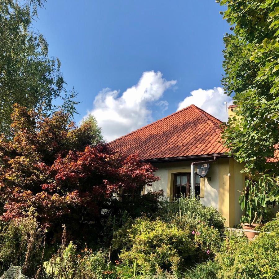Modryna Ranczo Bed and Breakfast Krasiczyn Eksteriør billede