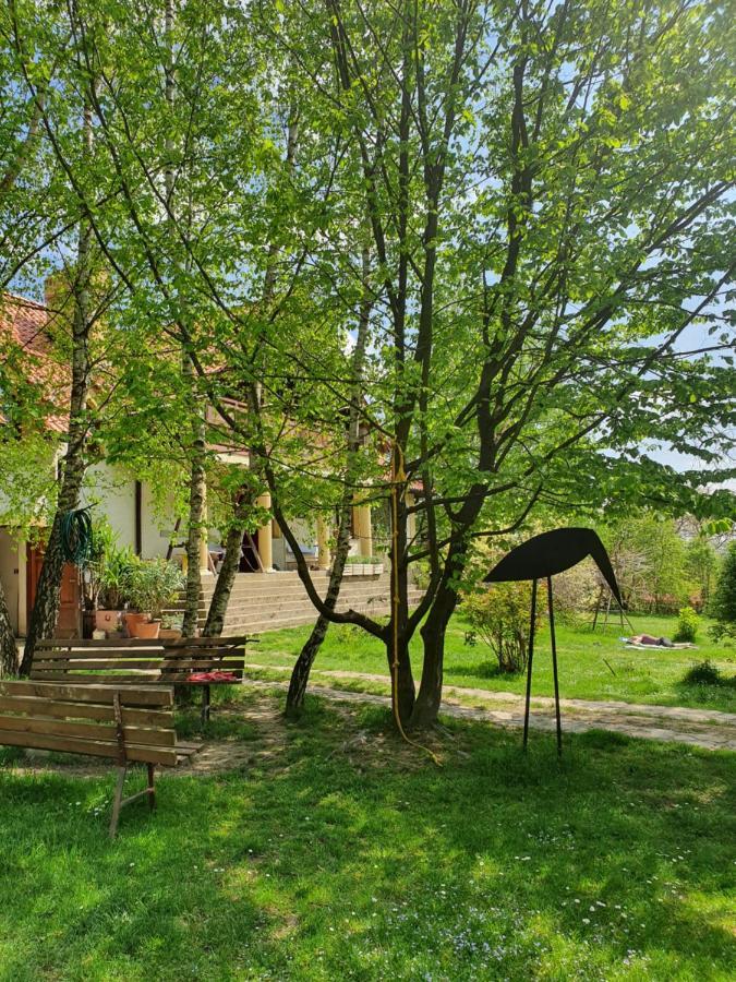 Modryna Ranczo Bed and Breakfast Krasiczyn Eksteriør billede