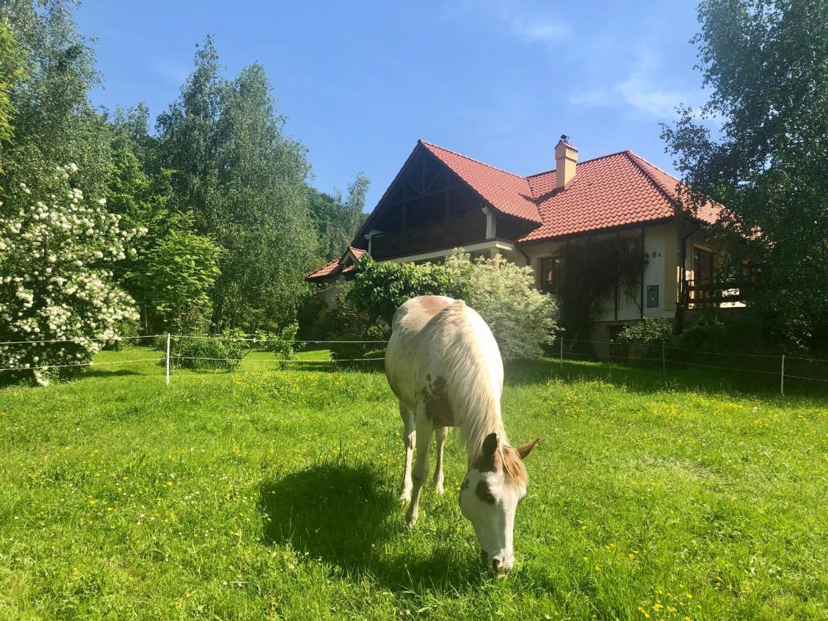 Modryna Ranczo Bed and Breakfast Krasiczyn Eksteriør billede